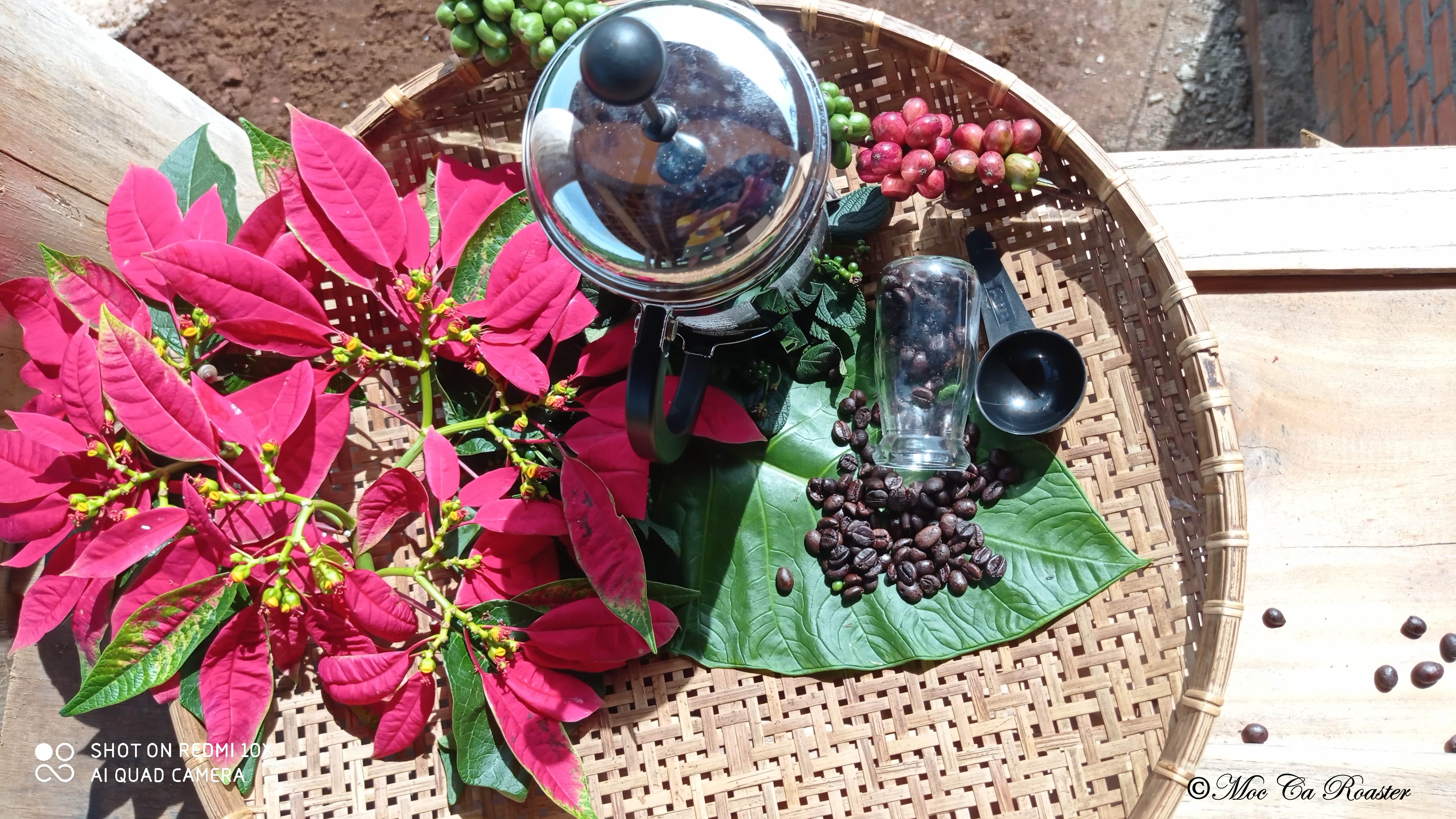 Café nguyên chất Mộc Ca - Mùa Đông 1kg