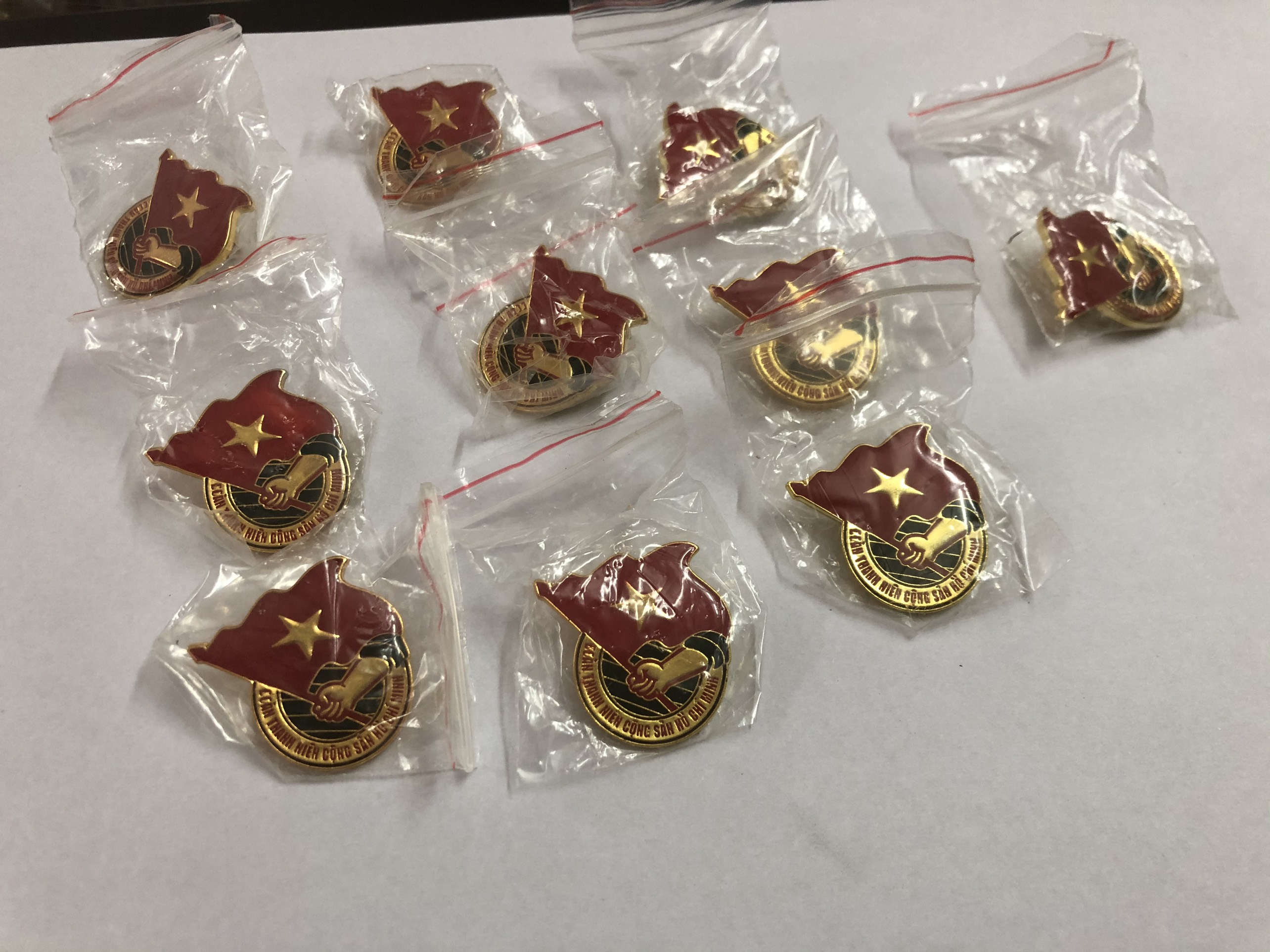 Set 10 huy hiệu đoàn loại tốt