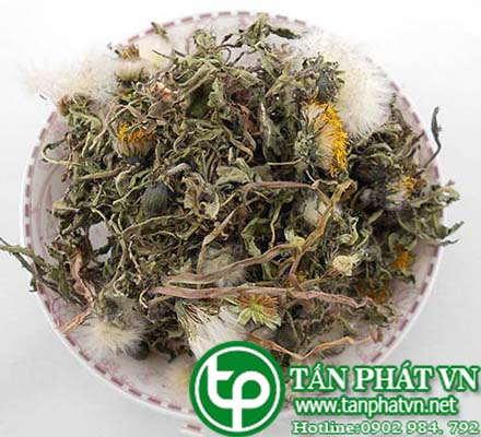 Lá bồ công anh loại 1 sấy khô 500g