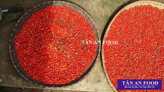 100g Hạt Dổi Nếp Tây Bắc