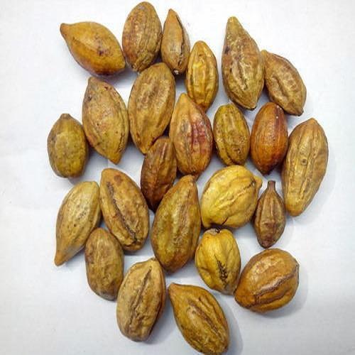 Kha tử 500g cao cấp - Hỗ trợ cải thiện sức khoẻ hệ hô hấp cực kỳ hiệu quả