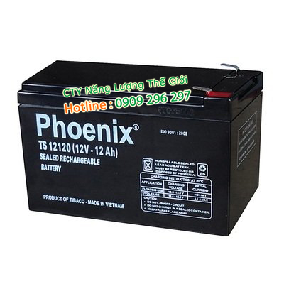 [HCM]BÌNH ẮC QUY 12V-12Ah - MỚI - CHÍNH HÃNG PHOENIX