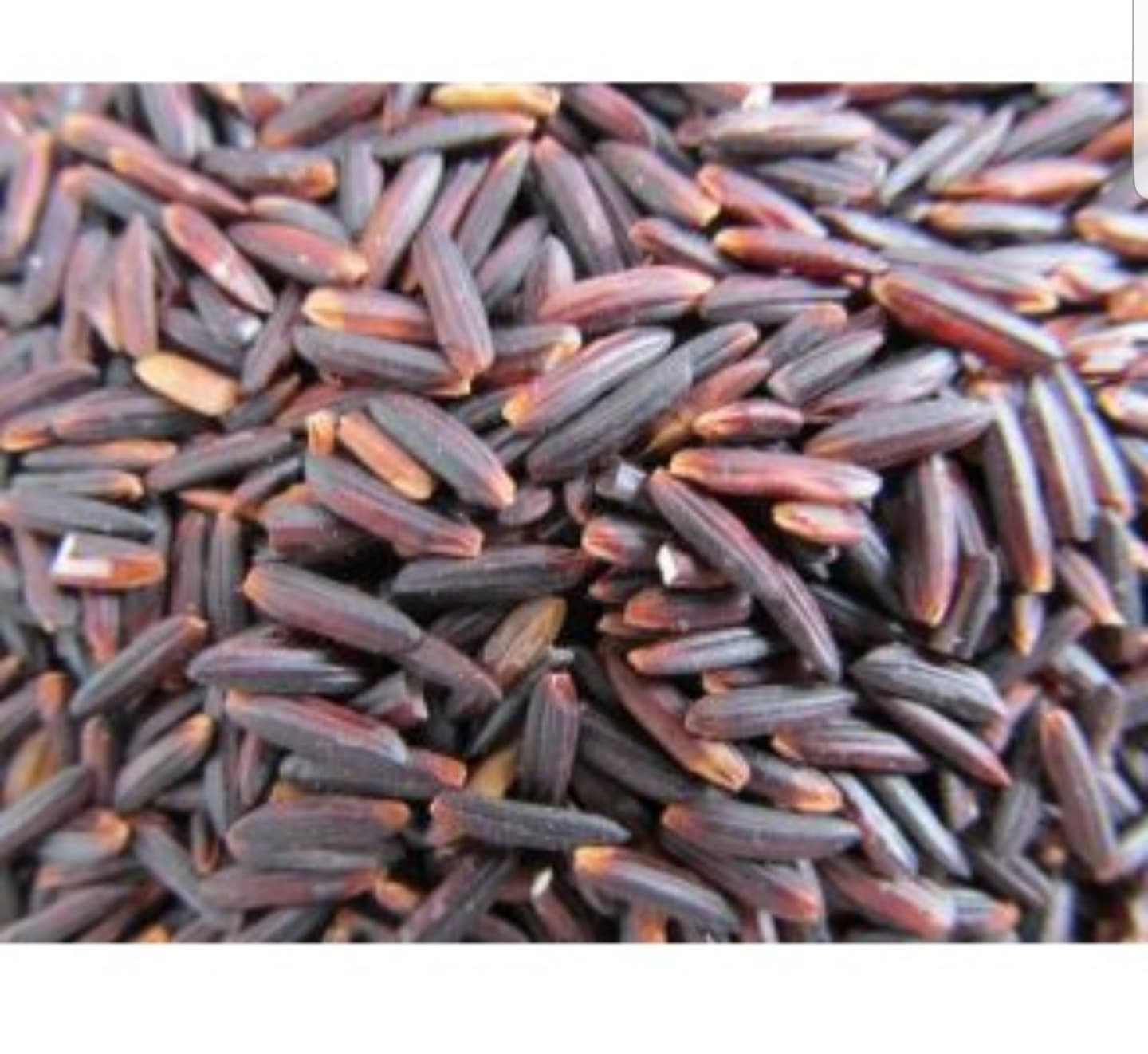 [HCM]Gạo lức tím than Sóc Trăng 1kg