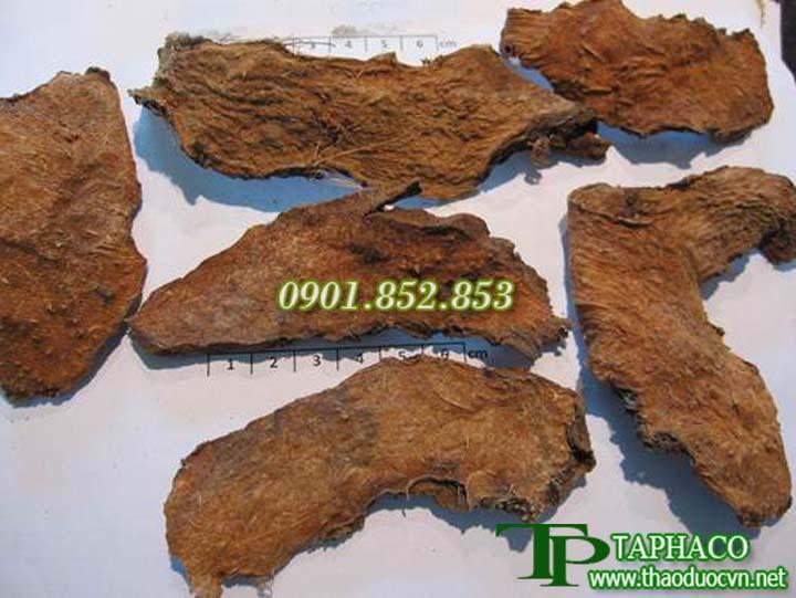 [Hàng Mới Về] Mướp gai khô cao cấp của Tấn Phát Loại 1kg - Dễ dàng bảo quản và sử dụng - Thảo Dược Tấn Phát