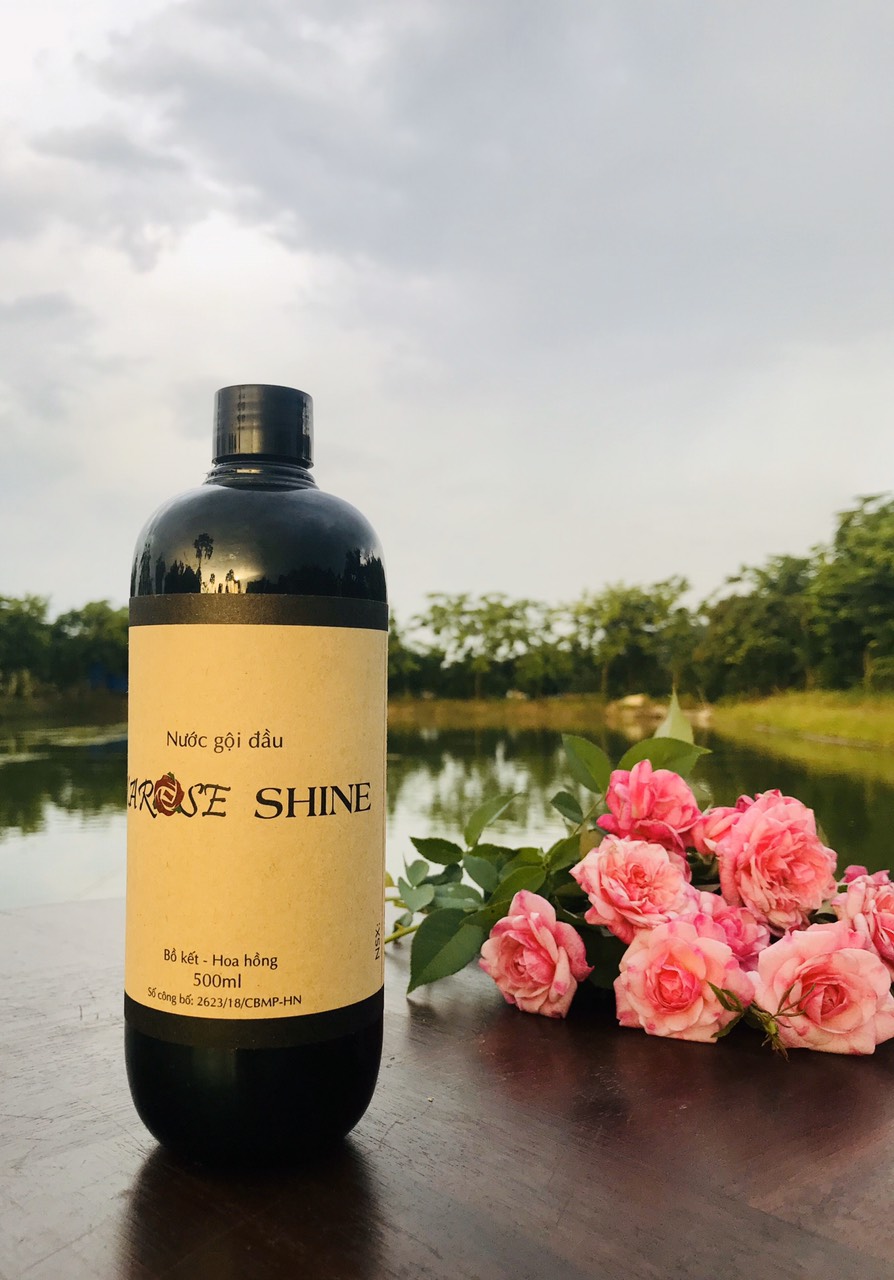 Nước gội đầu Karose Shine
