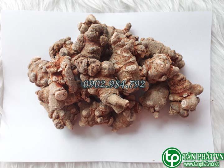 Củ tam thất bắc Khô Cao Cấp 100g Tấn Phát ( Củ To Đều Nhiều Năm Tuổi) - Hàng công ty chất lượng cao