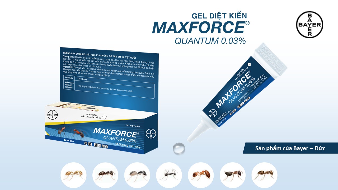 [HCM]Thuốc diệt kiến dạng gel Bayer Maxforce Quantum 12g