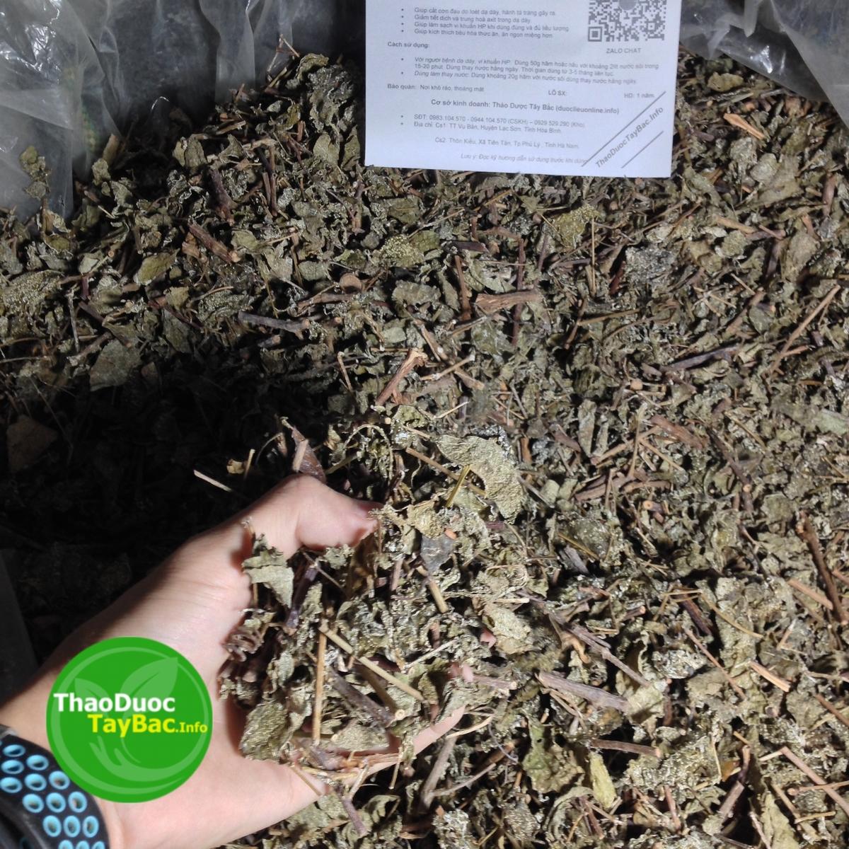 Combo 3Kg Chè Dây Leo