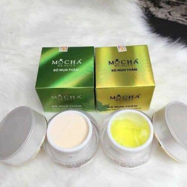 BỘ MỤN MOCHA
