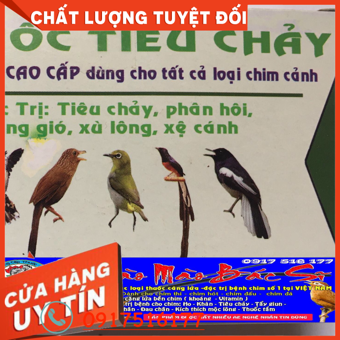 [HCM]Bệnhcảm và viêm phổi ho hen  Hô Hấp ở chim cảnh. DT Hỗ trợ 0917516177