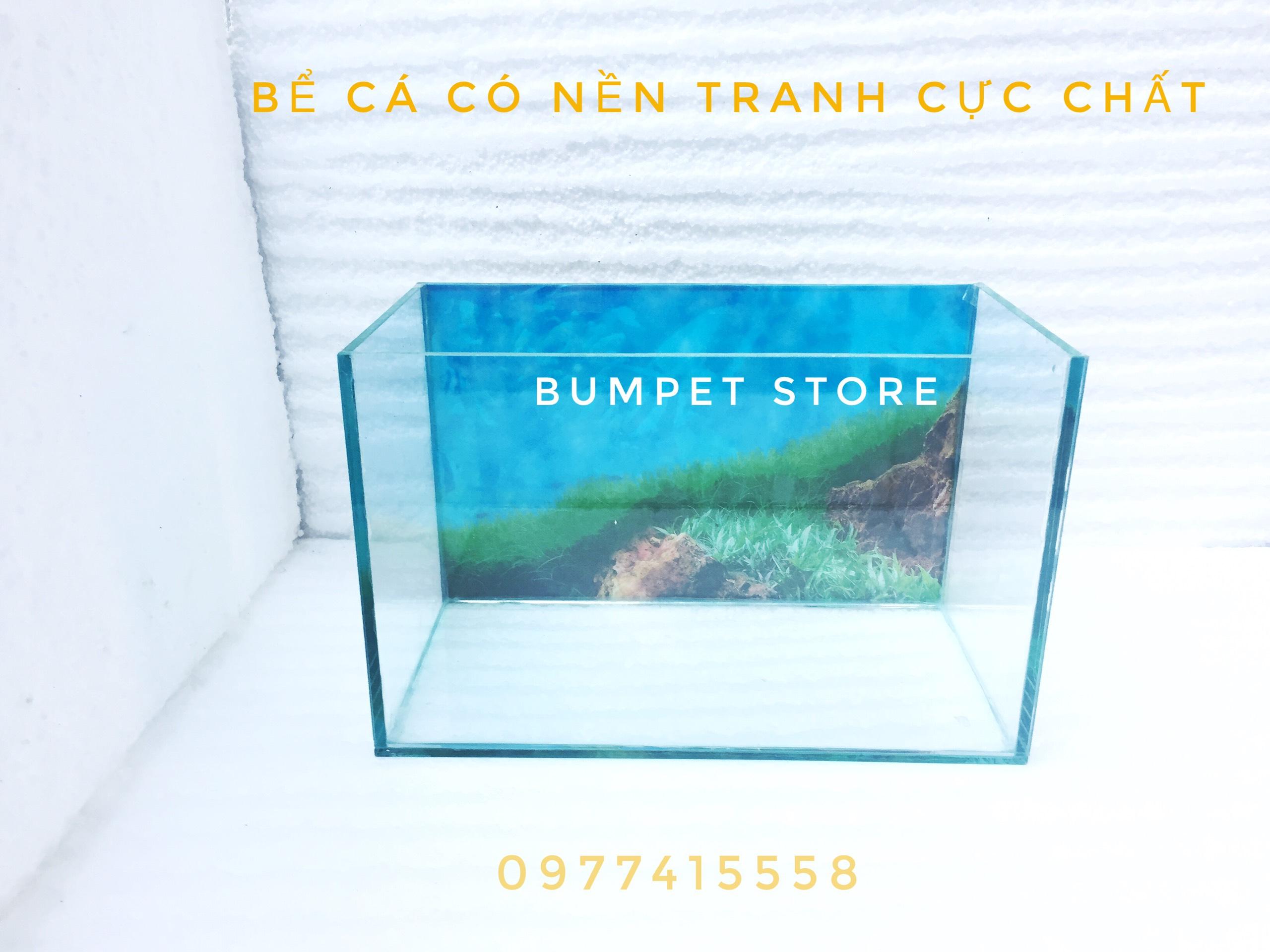 Bể cá cảnh cỡ 30*15*18cm có tranh nền