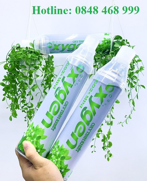 Bình oxy mini tinh khiết siêu sạch