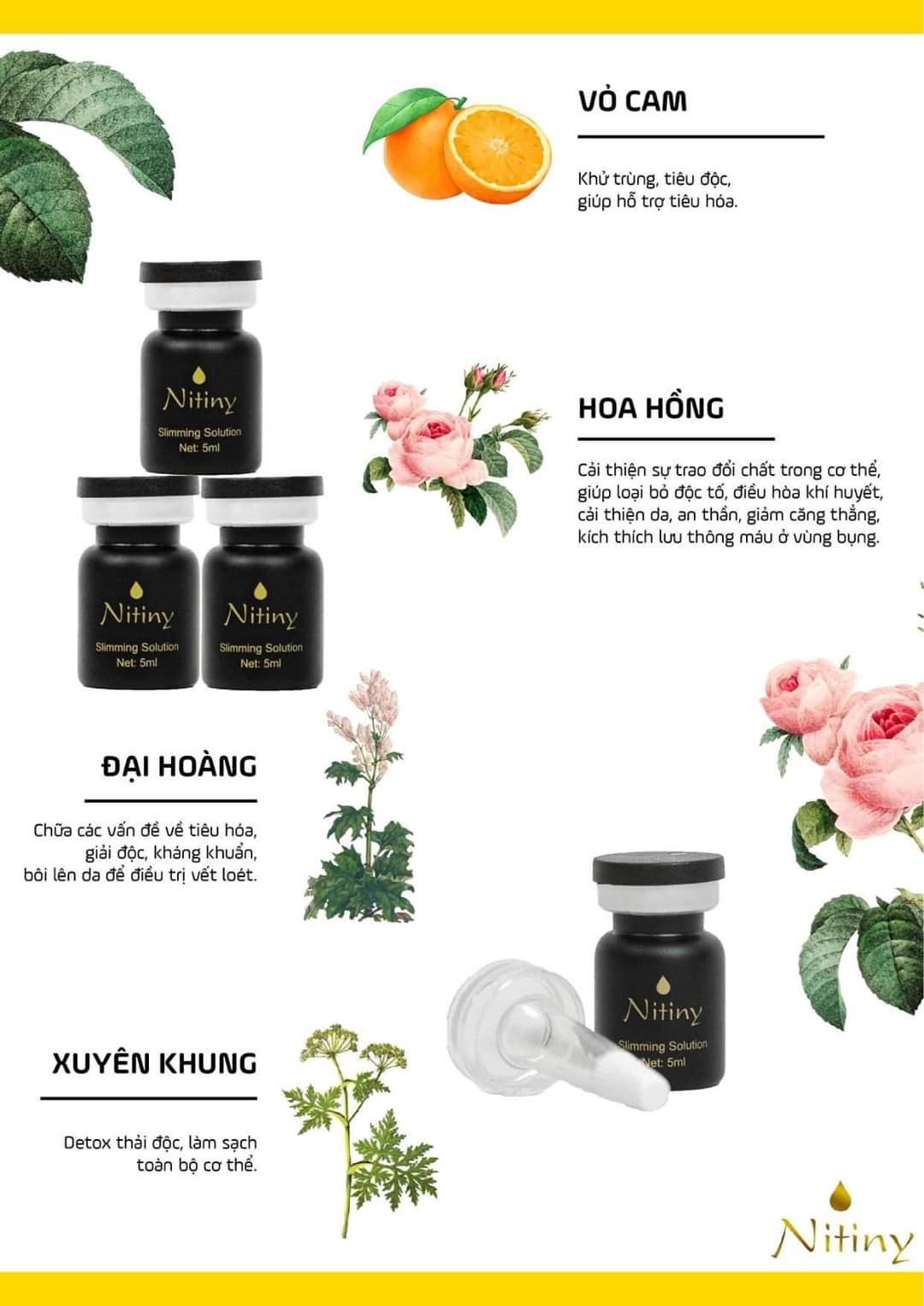 Giảm cân nhỏ cuống rốn Nitiny Hàn Quốc