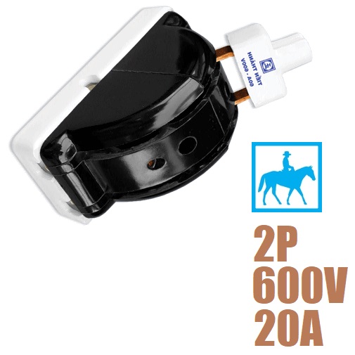 High Quality 2-Phase 2P 20A 600V Reversible Electrical Circuit Breaker