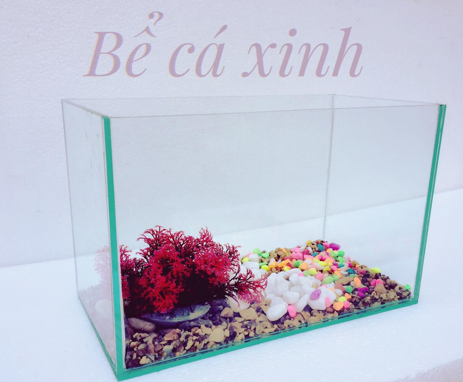 Bể cá mini để bàn size 30x15x18cm