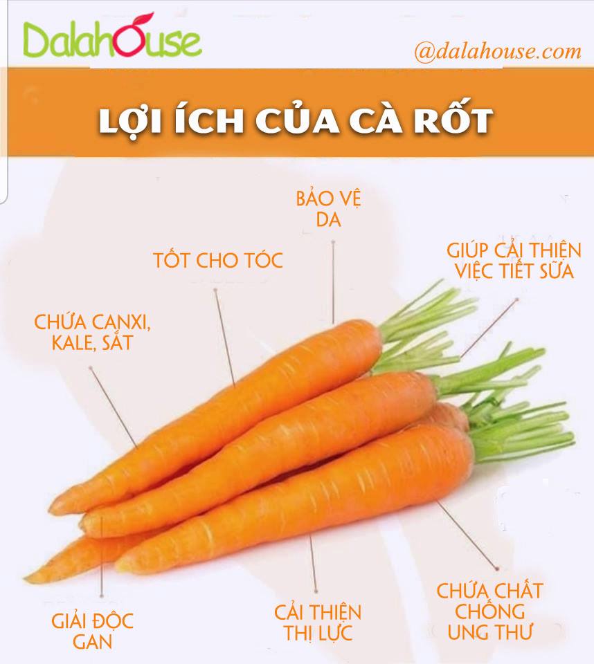 BỘT CÀ RỐT DALAHOUSE 150GR