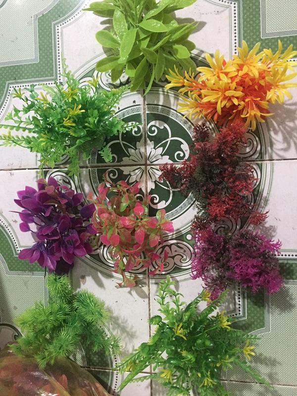 Bể cá mini để bàn( tặng cây nhưa, sỏi, thức ăn)