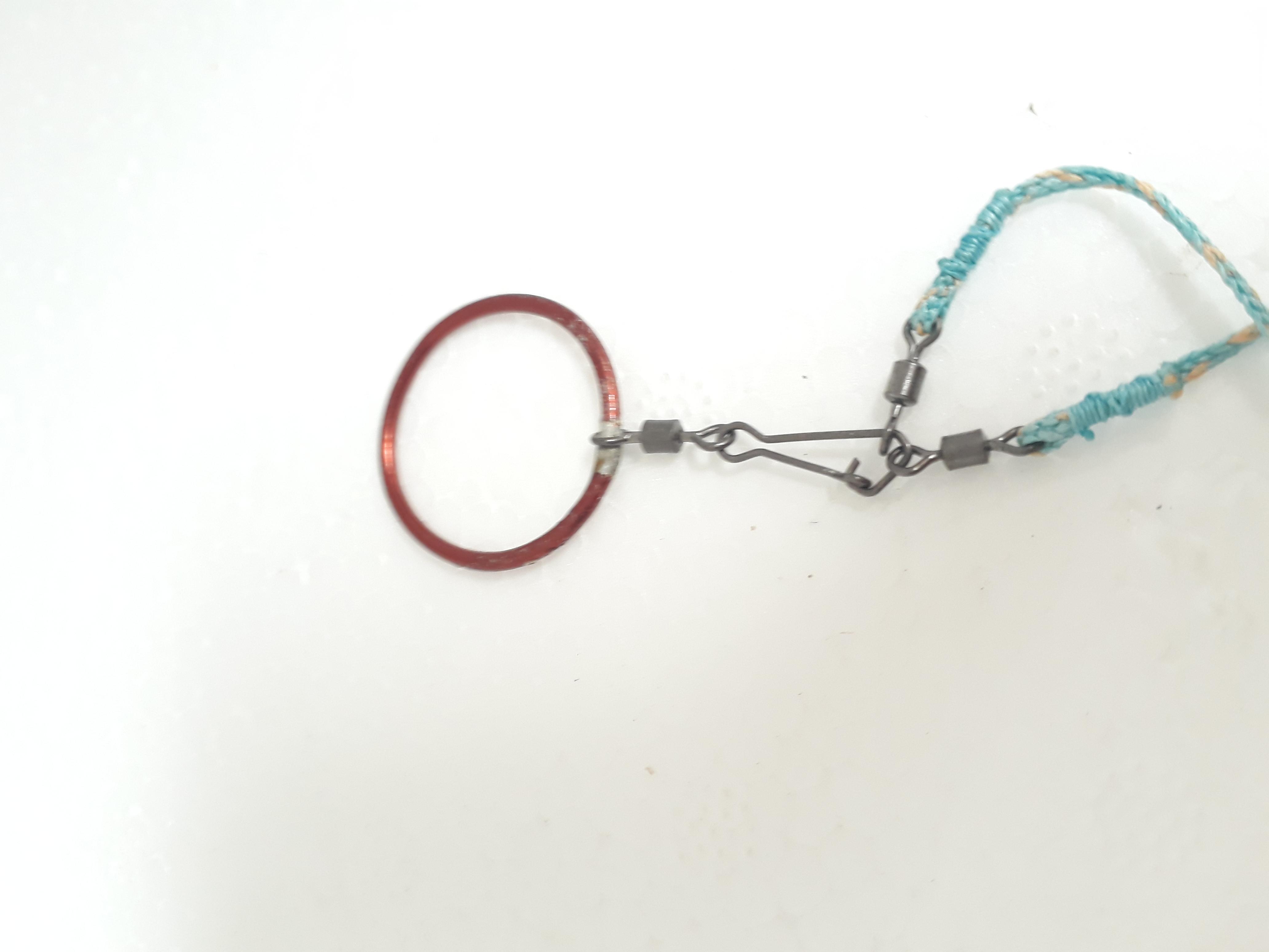 dây xích chân thuần chim chòe lửa s2