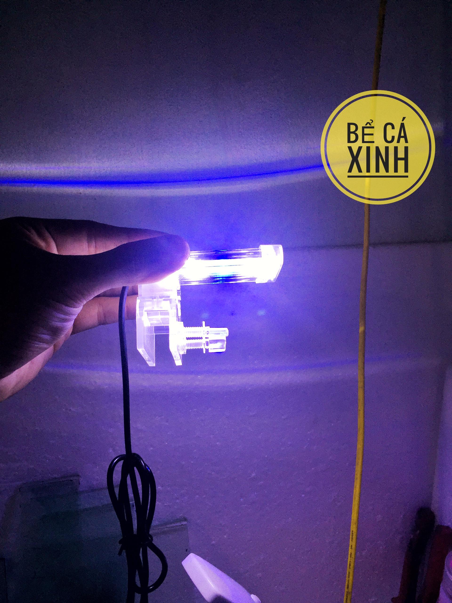 set bể cá mini 25x13x15 và đèn led mini (tặng phụ kiện)