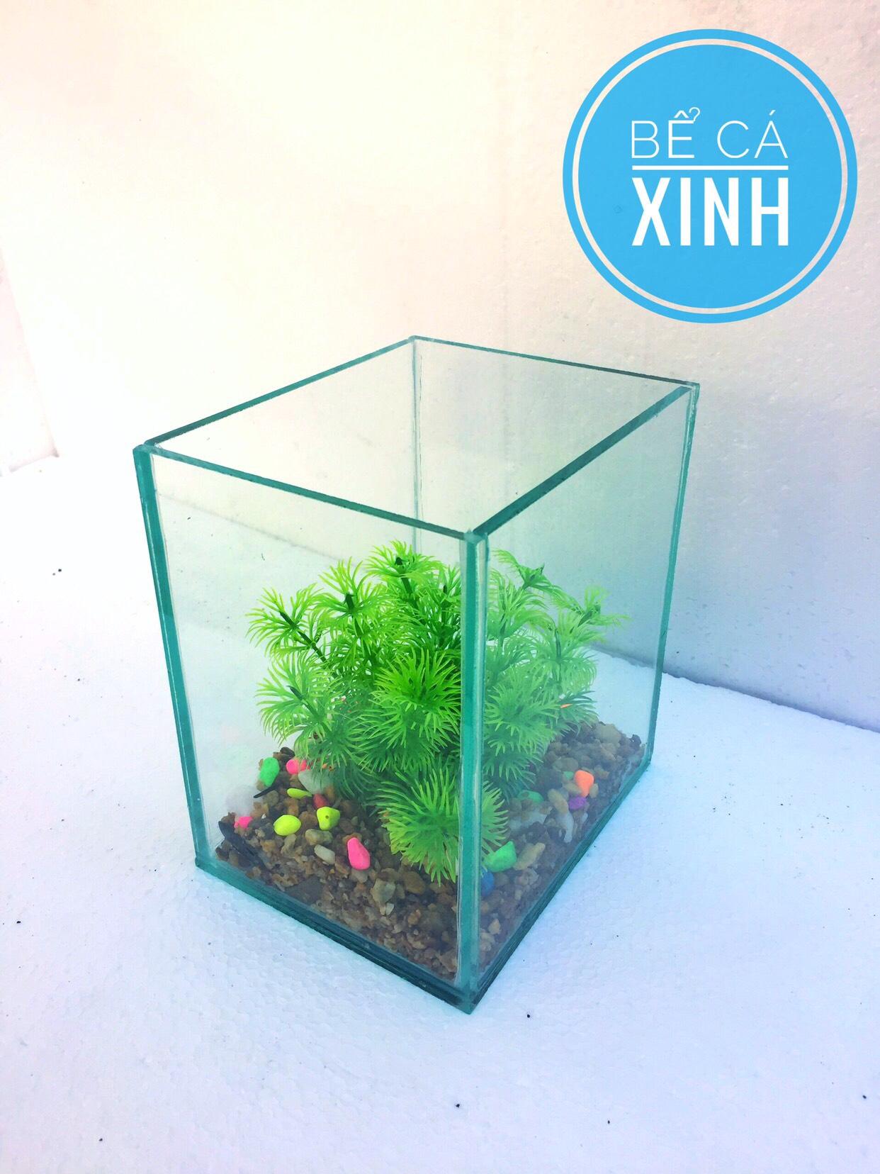 Bể cá mini giá rẻ ( Tặng phụ kiện trang trí)