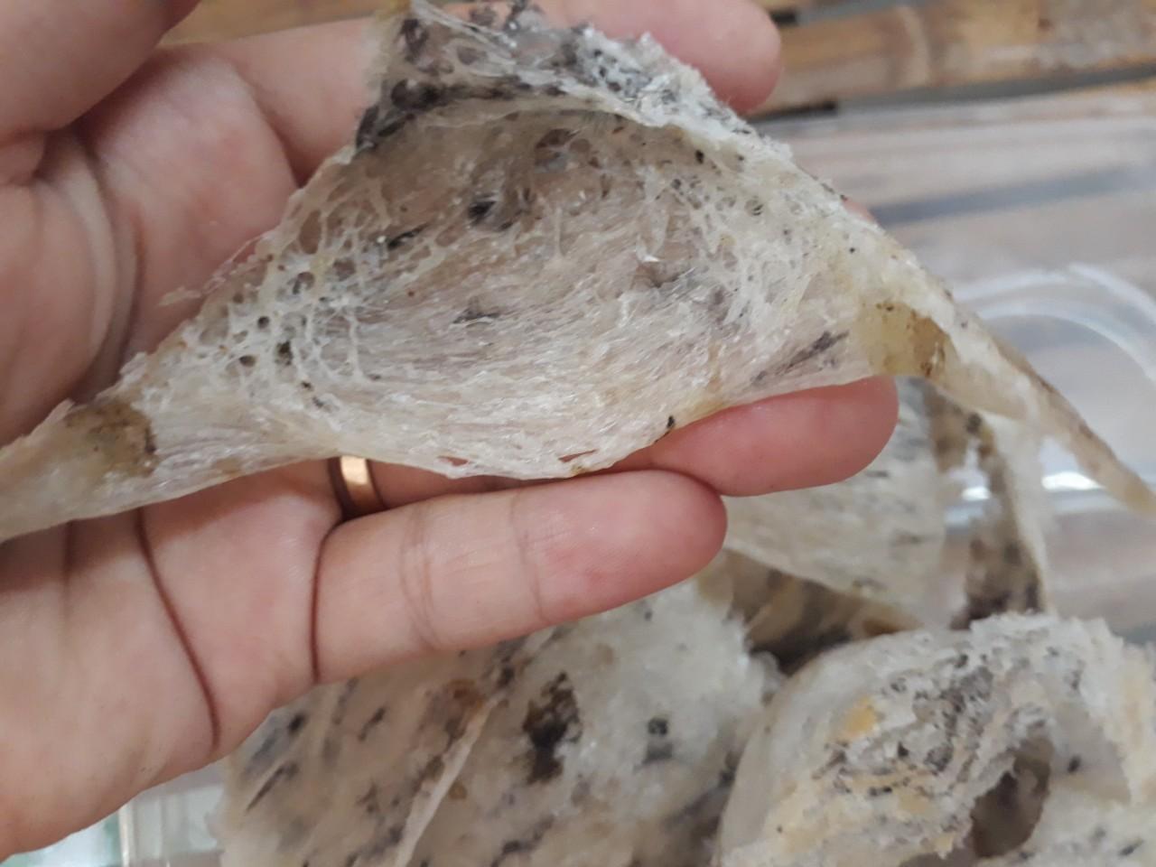 Tổ yến sào thô nhà nuôi - 100g