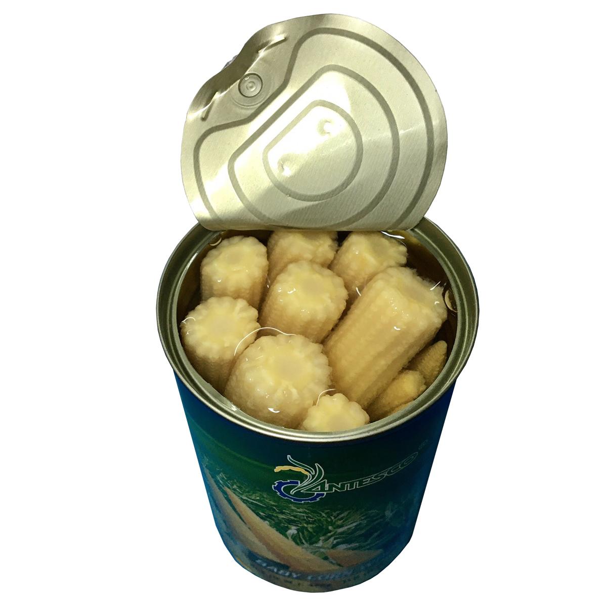 [HCM]Combo 6 hộp Bắp non đóng hộp (6 hộp x 425gr) - Bắp đóng hộp (425gr) - Thương hiệu Antesco