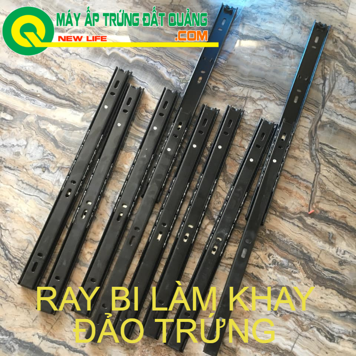 ray bi làm khay máy ấp trứng
