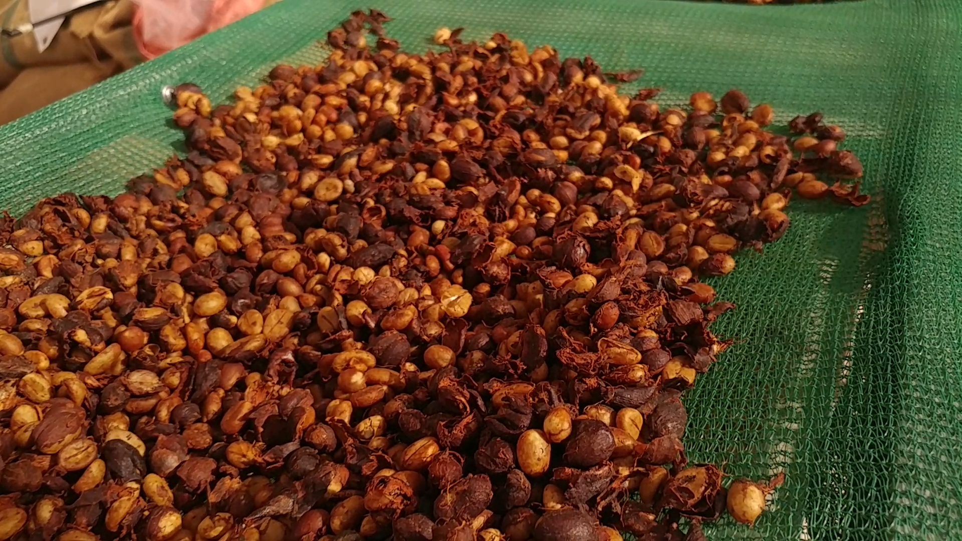 Cà phê Rang Mộc Robusta 500gr - 100 Pure Coffee, Cà Phê Mộc Rang Xay TIBEAN COFFEE
