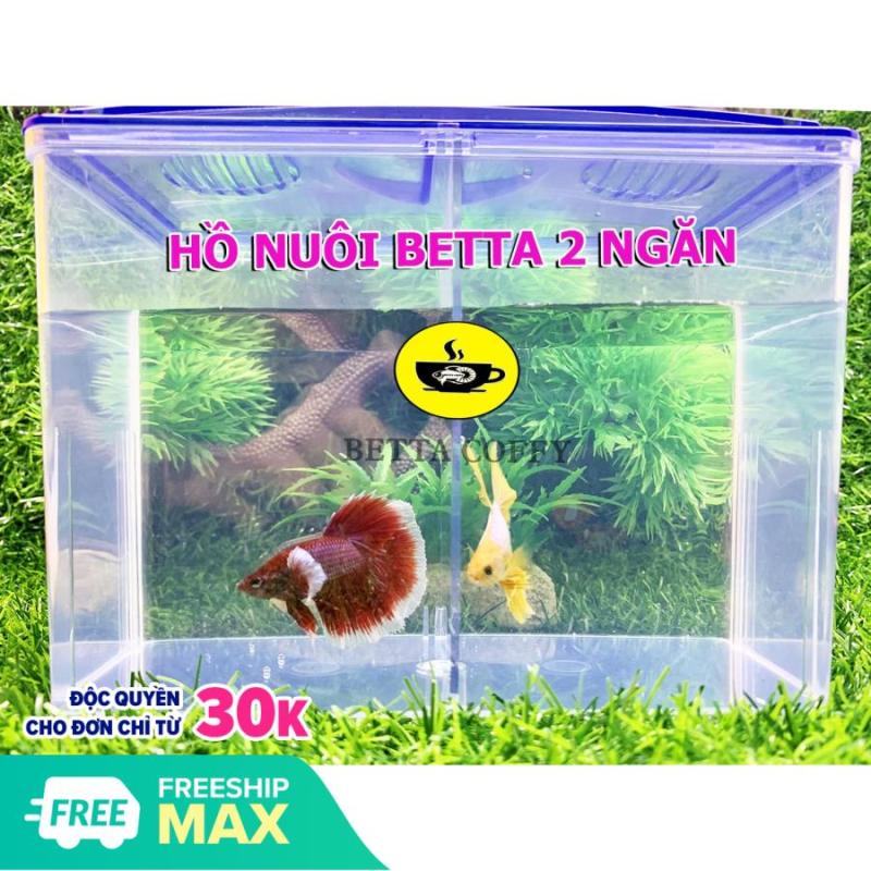 Bể Cá Mini Siêu tiện lợi - Hồ nuôi cá Betta - Cá Cảnh mini