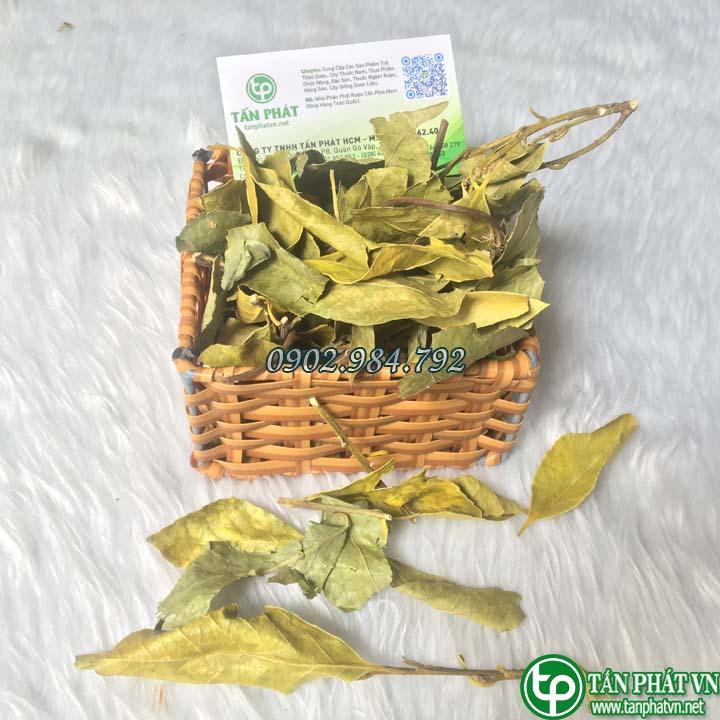 [Hàng mới về] Chè dung khô 1kg - Tấn phát - Hàng công ty chất lượng cao hỗ trợ thanh nhiệt và giải độc cực kỳ hiệu quả