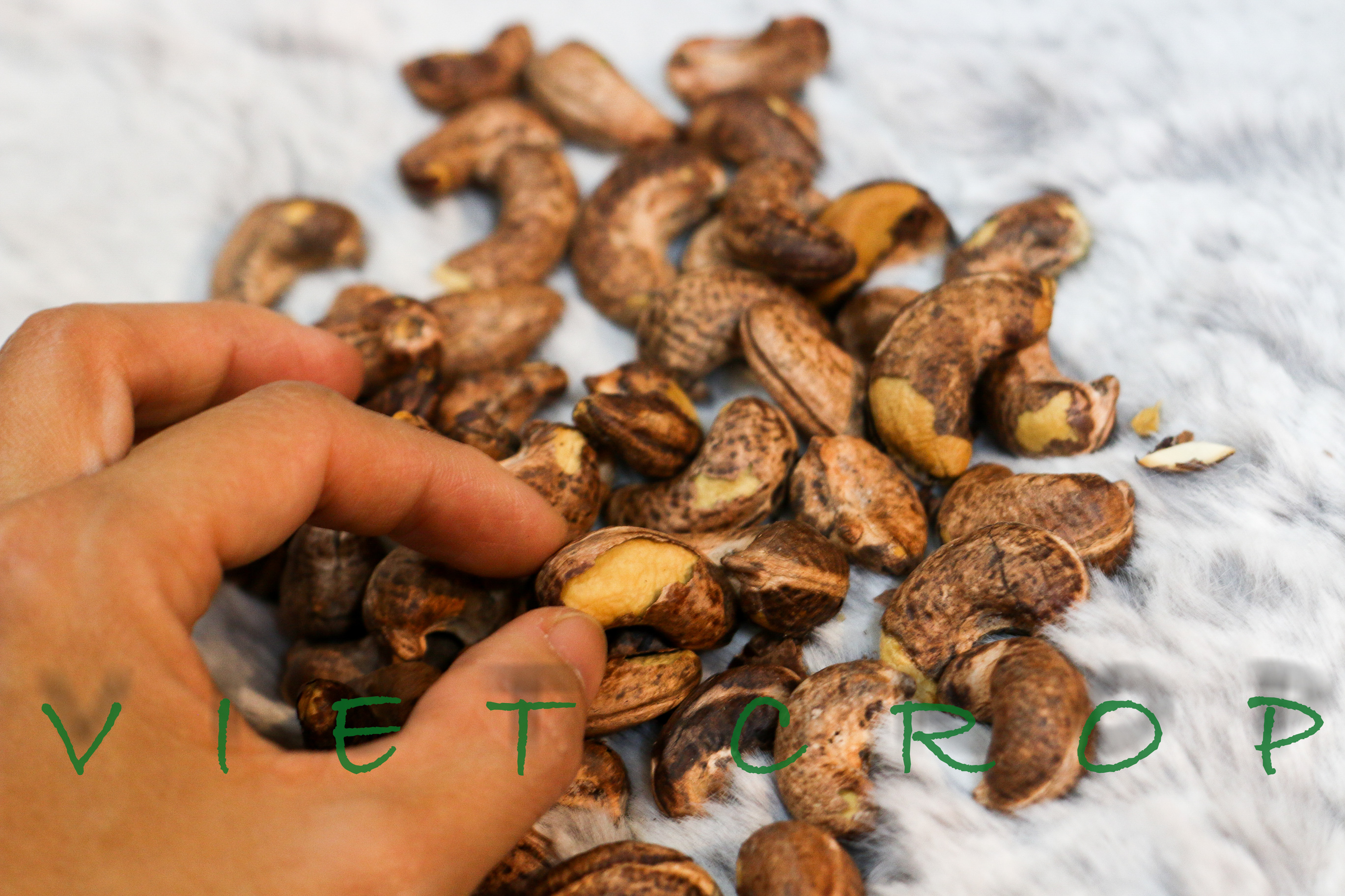 Hạt điều vỏ lụa rang muối VIETCROP - túi kraft zip 150g