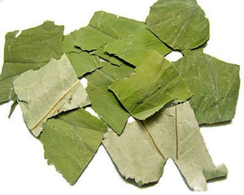 lá sen phơi khô 1 ký (nguyên lá)