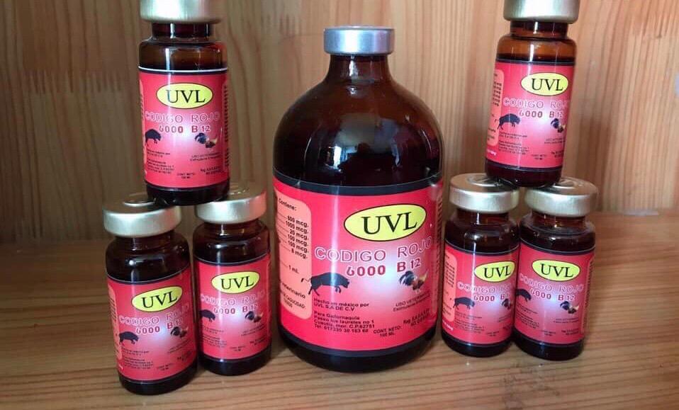 B12 6000 chai chiếc 10ml