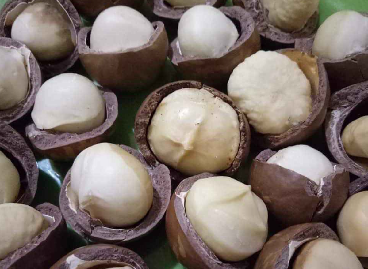 500g Hạt Macca Sấy Loại 1 (Mắc ca, Mac ca)