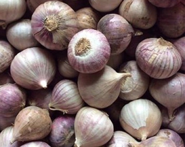 1KG củ tỏi Cô Đơn