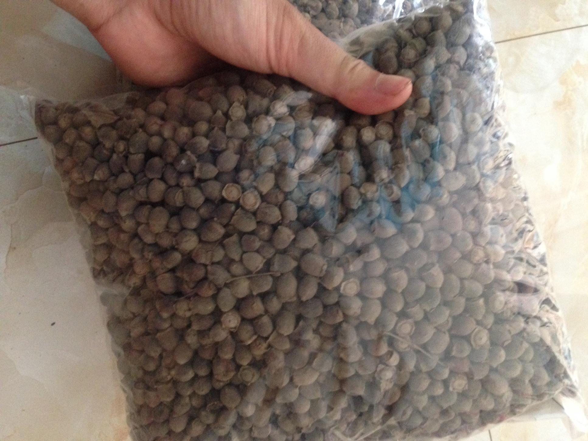 5kg Sim Rừng Khô Sấy Khô