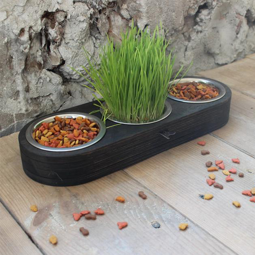 [HCM]Khay Ăn Gỗ Dành Cho Mèo CT003