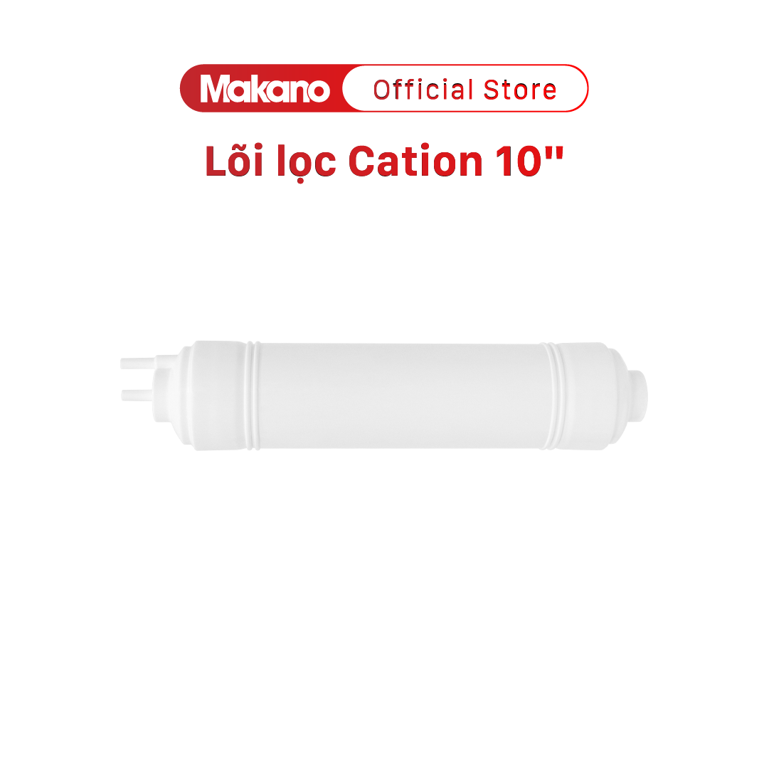 Lõi lọc Cation 10"