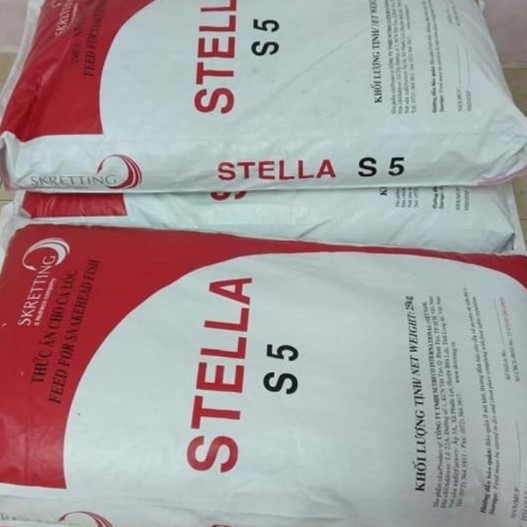 1 Kg Cám Sá Chép Koi Stella size S5
