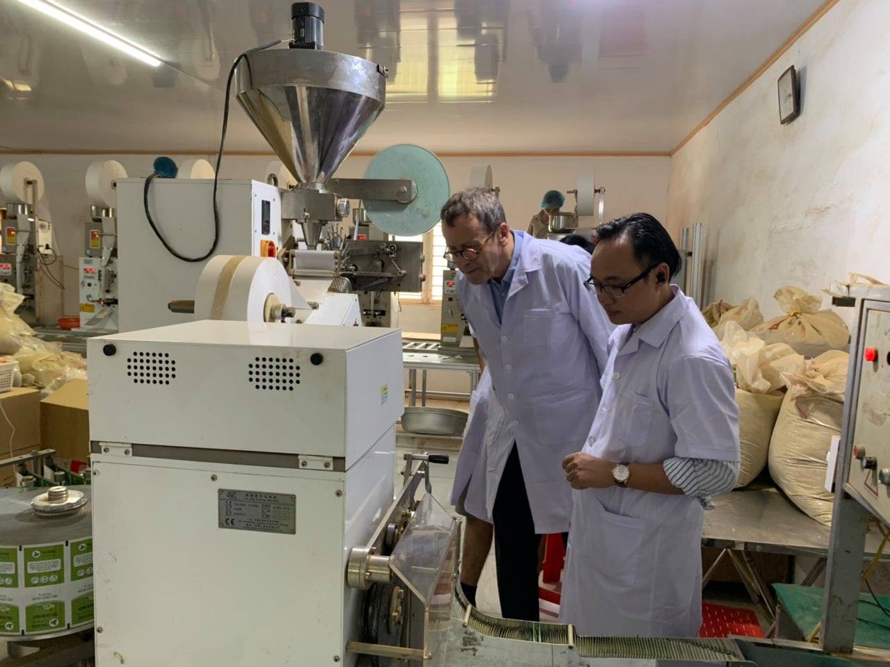 Trà  thìa canh Mộc Can ( hộp 25 túi lọc x 5g)