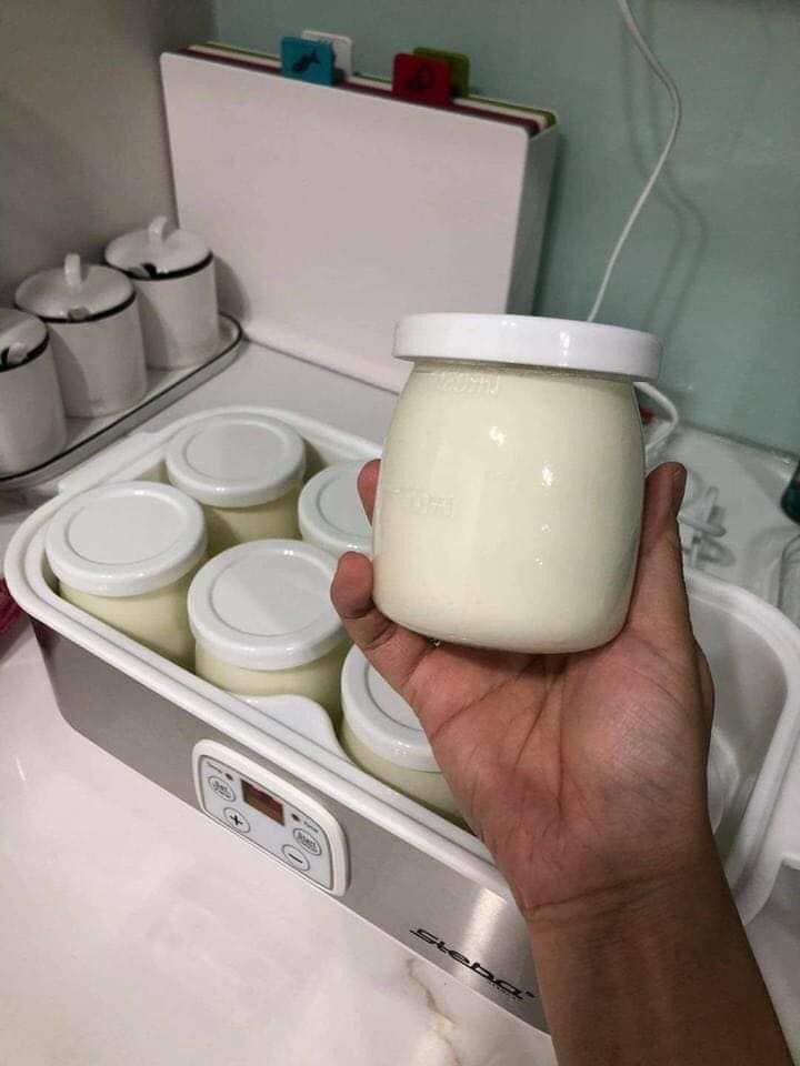MÁY LÀM SỮA CHUA STEBA JM3