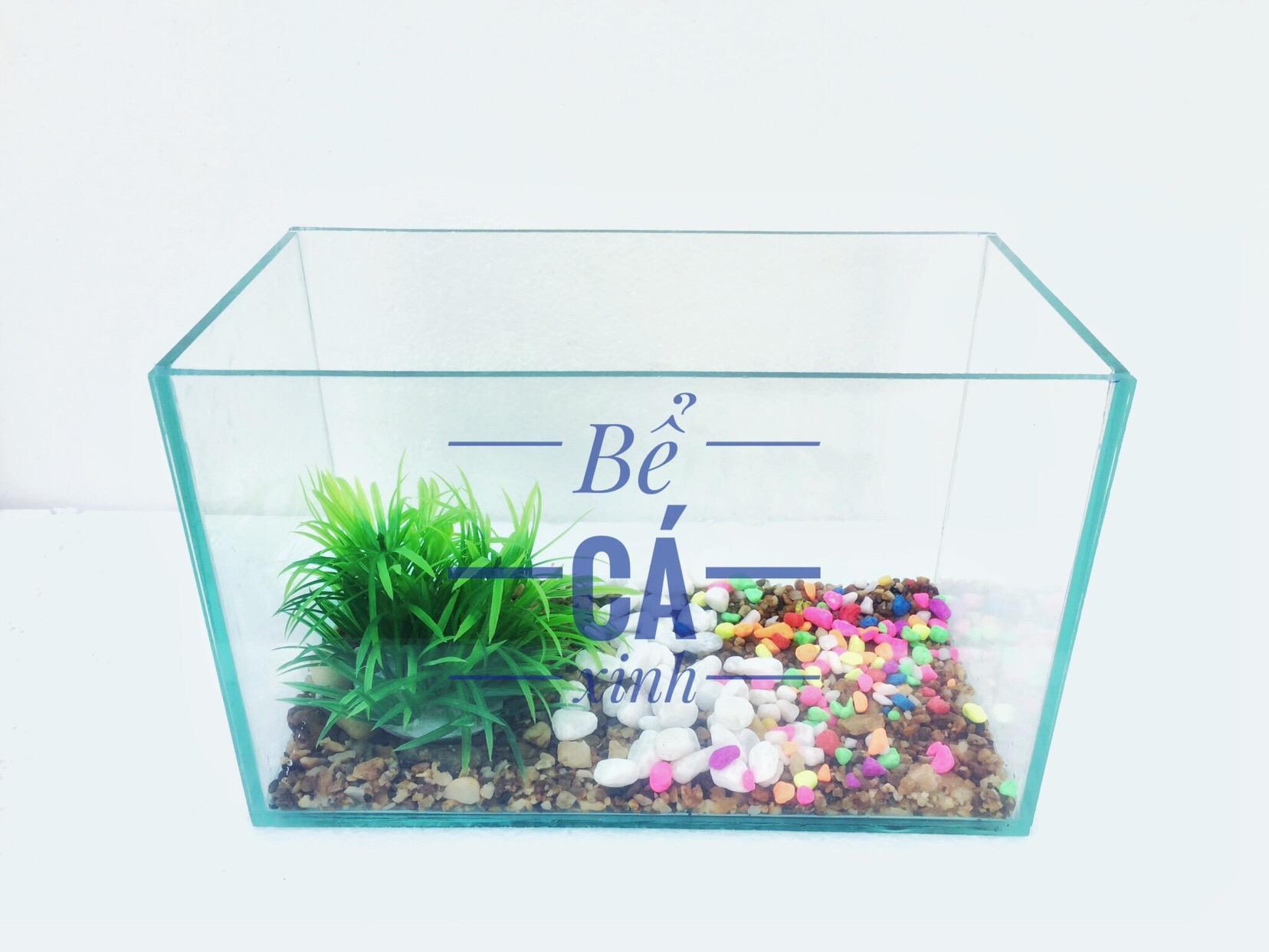 Bể cá để bàn và lọc thác mini (tặng phụ kiện và thức ăn) 30X15X15CM