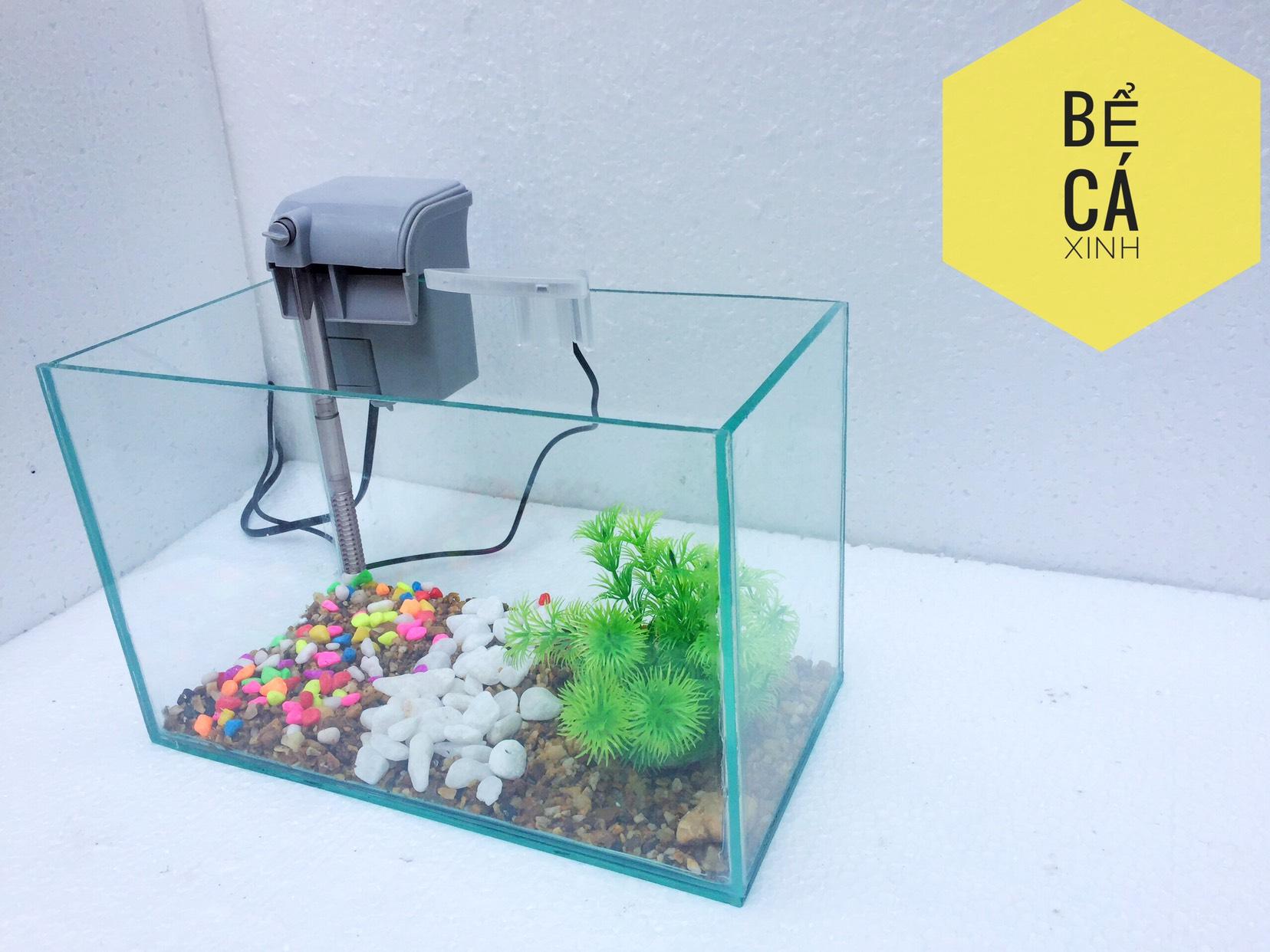 Bộ sản phẩm bể cá mini để bàn