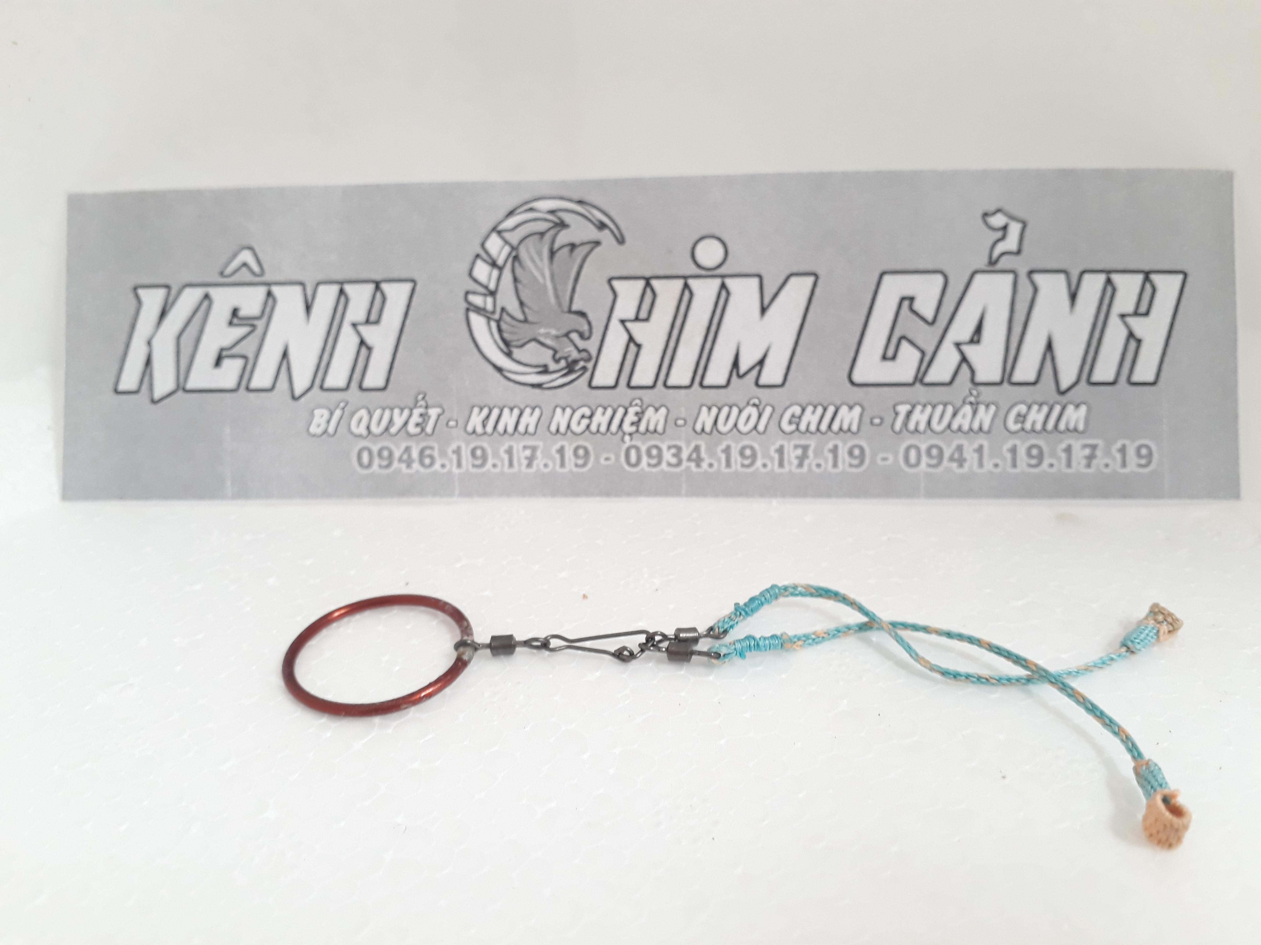 dây xích chân thuần chim chòe lửa s2
