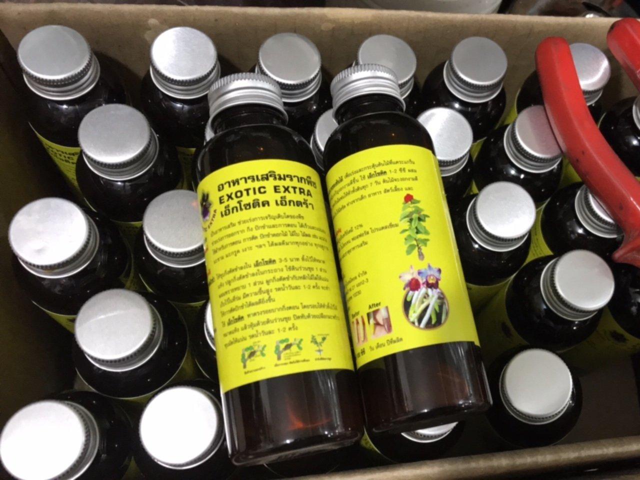 [HCM]KÍCH RỄ EXOTIC THÁI