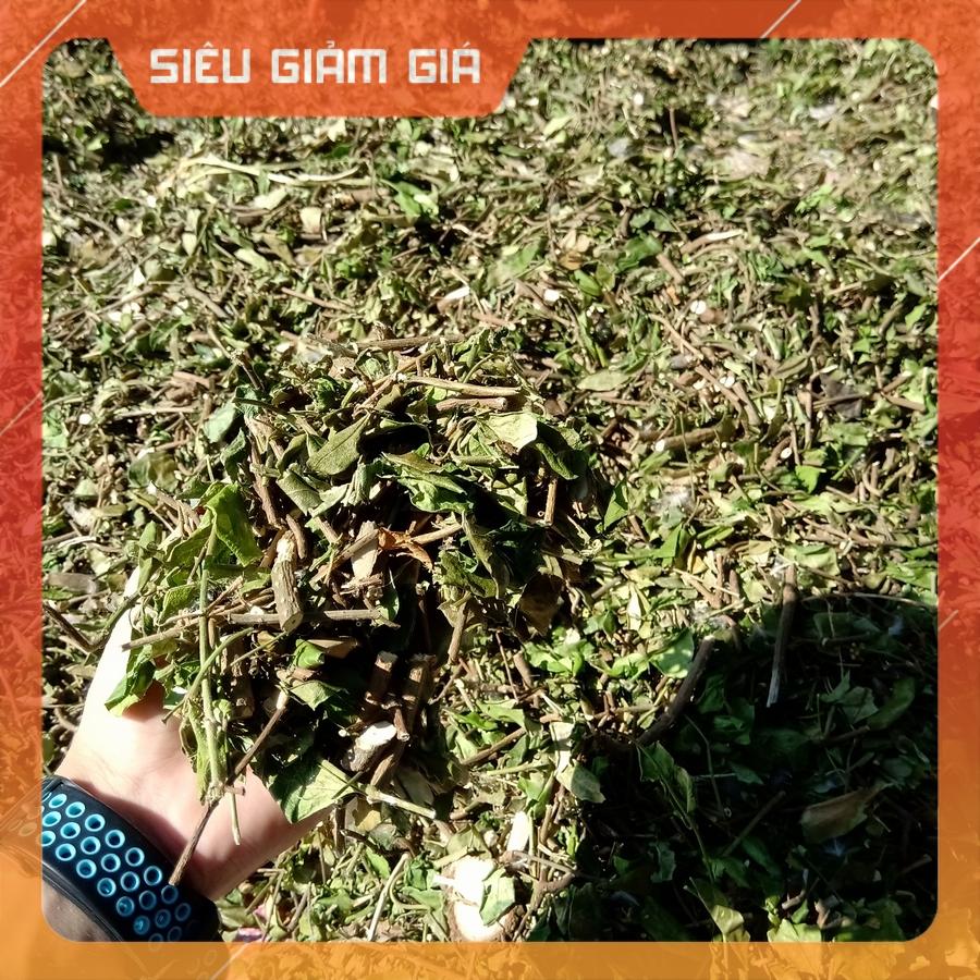 [Bịch 1Kg] ✅ Dây Thìa Canh ( Dây Thìa Canh Lá To ) loại 01