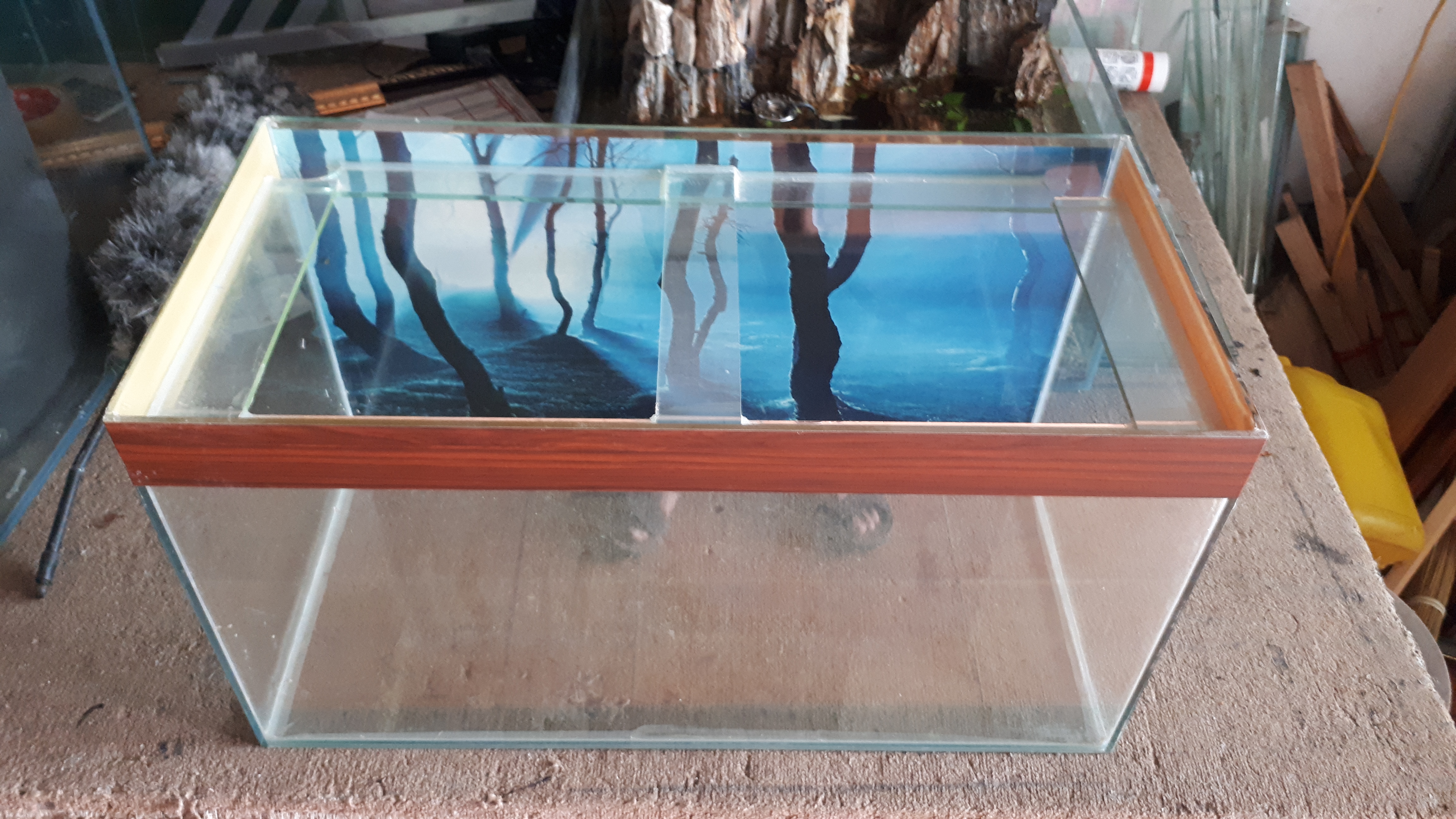 Bể kính 60 x 30 x 32 (cm) ( dài X rộng x cao)