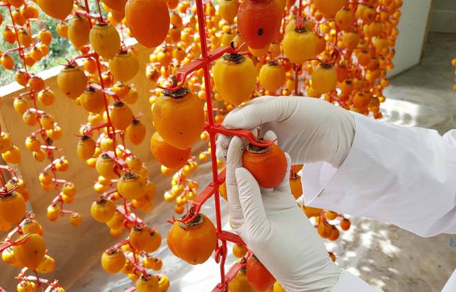 [HCM]HỒNG TREO GIÓ ĐÀ LẠT