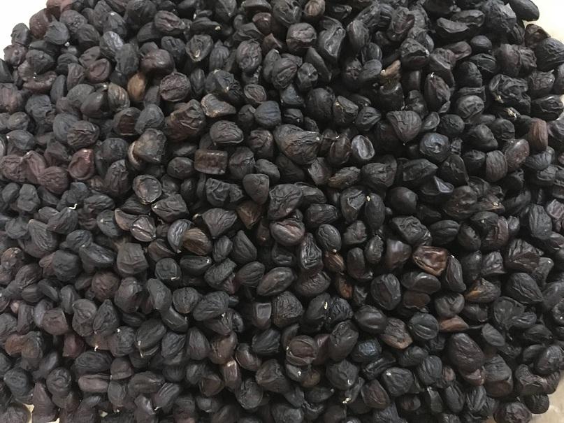 Hạt dổi nếp loại thượng hạng (200gr)