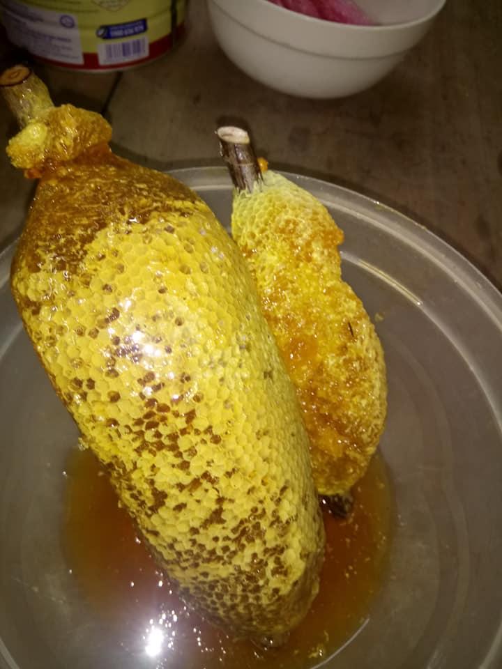 MẬT ONG RUỒI NGUYÊN TỔ, 1kg